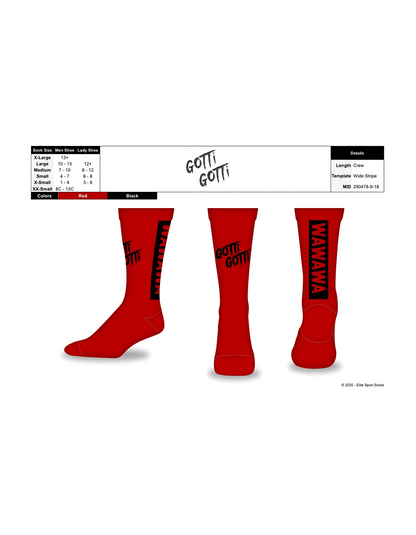 TEAM WAWAWA  SOCKS